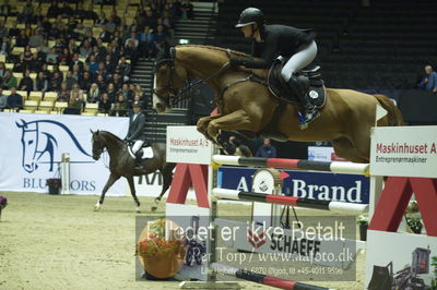 Showjumping
stutteri ask grandprix 150cm
