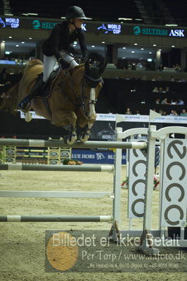 Showjumping
stutteri ask grandprix 150cm
