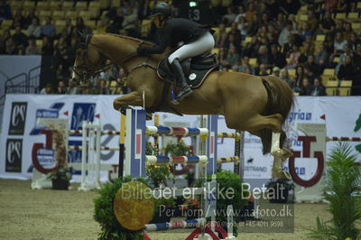 Showjumping
stutteri ask grandprix 150cm
