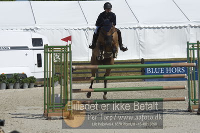 Drf Csi a130cm
Showjumping
Nøgleord: lalik 2;raena lueng