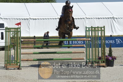 Drf Csi a130cm
Showjumping
Nøgleord: charlotte bjoernstrup;texas des forets