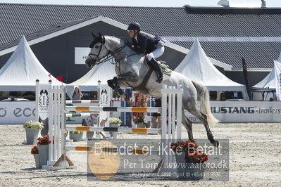 Drf Csi a130cm
Showjumping
Nøgleord: jenny rankin;call me cool z