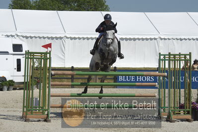 Drf Csi a130cm
Showjumping
Nøgleord: jenny rankin;call me cool z