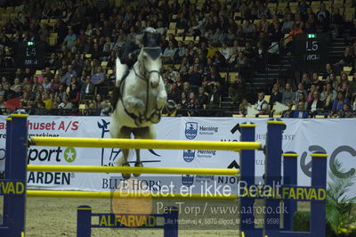 Showjumping
stutteri ask grandprix 150cm
Nøgleord: hege c tidemandsen;carvis