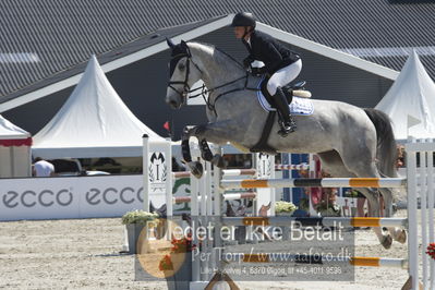 Drf Csi a130cm
Showjumping
Nøgleord: eva kramer;colina 70