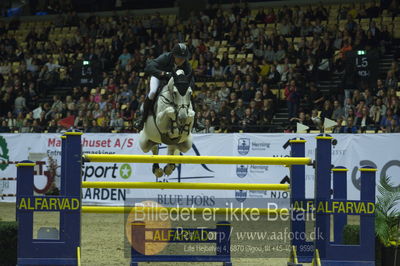 Showjumping
stutteri ask grandprix 150cm
Nøgleord: michael aabo;its the senator 111