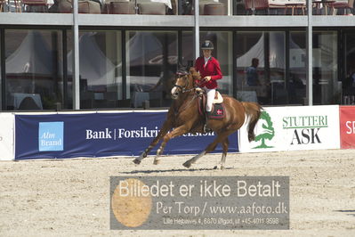 Drf Csi a130cm
Showjumping
Nøgleord: caroline nørgaard winter;cairo 34