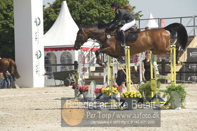 Drf Csi a130cm
Showjumping
Nøgleord: julie bjerregaard;bente mb