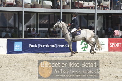 Drf Csi a130cm
Showjumping
Nøgleord: lars trier kjoeller;q miles n