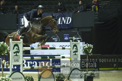 Showjumping
stutteri ask grandprix 150cm
Nøgleord: marcus westergren;calmere