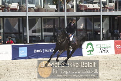 Drf Csi a130cm
Showjumping
Nøgleord: nadia  siesbye suhr;kløvergårds dirty dancer
