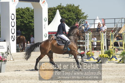 Drf Csi a130cm
Showjumping
Nøgleord: ezequiel andres ferro menendez;chintau