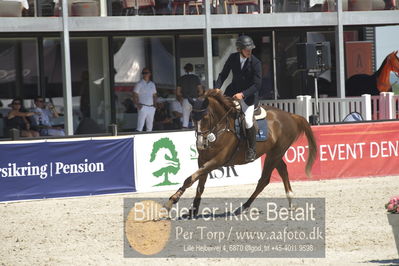 Drf Csi a130cm
Showjumping
Nøgleord: mathias nørheden johansen;carayuno