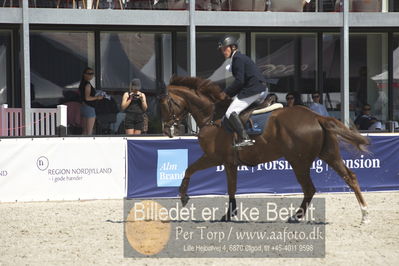 Drf Csi a130cm
Showjumping
Nøgleord: mathias nørheden johansen;carayuno