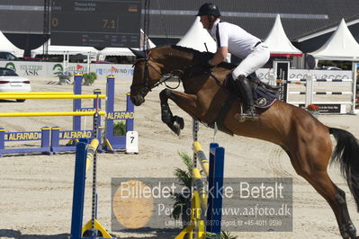 ridehesten csio3 140cm
Showjumping
Nøgleord: thomas kleis;silbergpfeil m