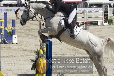 ridehesten csio3 140cm
Showjumping
Nøgleord: juulia jyläs;courage t z