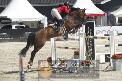 ridehesten csio3 140cm
Showjumping
Nøgleord: virginia thonon;falbert sb