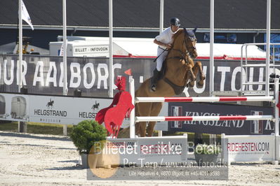 ridehesten csio3 140cm
Showjumping
Nøgleord: wojciech wojcianiec;chintablue