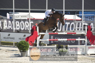 ridehesten csio3 140cm
Showjumping
Nøgleord: torben frandsen;cybertop