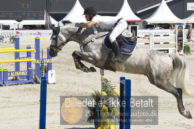 ridehesten csio3 140cm
Showjumping
Nøgleord: maksymilian wechta;number one 28