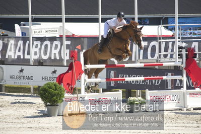 ridehesten csio3 140cm
Showjumping
Nøgleord: harry charles;vivaldi du dom