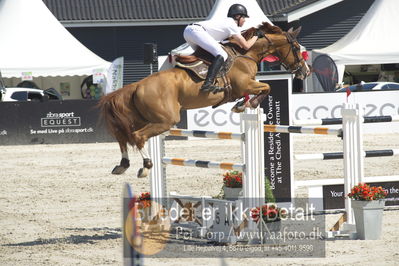 ridehesten csio3 140cm
Showjumping
Nøgleord: harry charles;vivaldi du dom