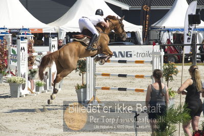 ridehesten csio3 140cm
Showjumping
Nøgleord: harry charles;vivaldi du dom