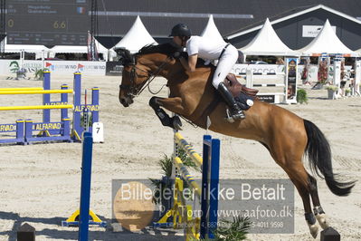 ridehesten csio3 140cm
Showjumping
Nøgleord: morgan bordat;quapitale du lavoir