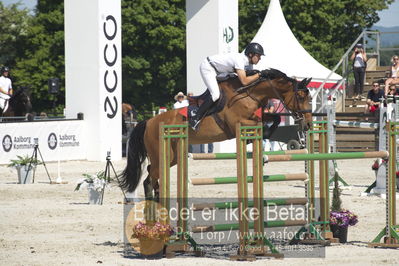 ridehesten csio3 140cm
Showjumping
Nøgleord: morgan bordat;quapitale du lavoir