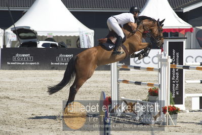 ridehesten csio3 140cm
Showjumping
Nøgleord: morgan bordat;quapitale du lavoir