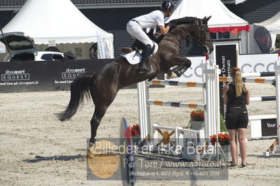 ridehesten csio3 140cm
Showjumping
Nøgleord: fredrik spetz;dustin