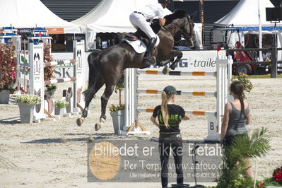 ridehesten csio3 140cm
Showjumping
Nøgleord: fredrik spetz;dustin