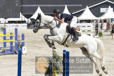 ridehesten csio3 140cm
Showjumping
Nøgleord: peter moloney;babilonia