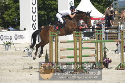 ridehesten csio3 140cm
Showjumping
Nøgleord: jeroen appelen;dalisca