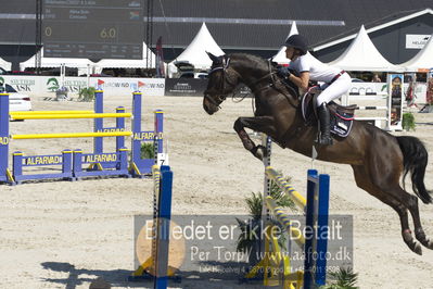 ridehesten csio3 140cm
Showjumping
Nøgleord: alexa stais;concuela