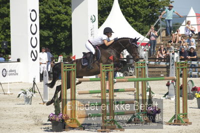 ridehesten csio3 140cm
Showjumping
Nøgleord: alexa stais;concuela