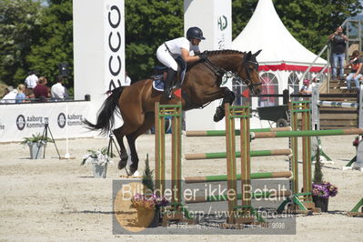 ridehesten csio3 140cm
Showjumping
Nøgleord: francesca ciriesi;alina 342