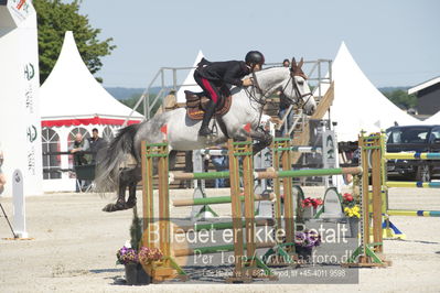 ridehesten csio3 140cm
Showjumping
Nøgleord: emanuele massimilliano bianche;azaria dinero