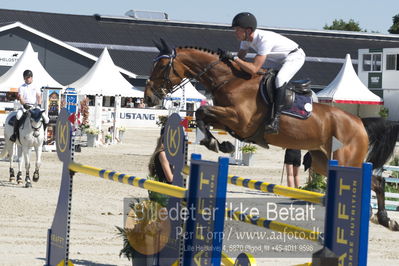 ridehesten csio3 140cm
Showjumping
Nøgleord: gerrit nieberg;quibelle de la coeur