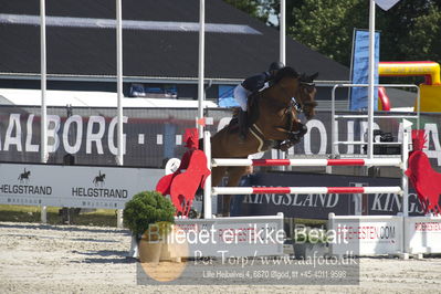 ridehesten csio3 140cm
Showjumping
Nøgleord: zascha n andresen;chameur 137