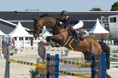 ridehesten csio3 140cm
Showjumping
Nøgleord: zascha n andresen;chameur 137