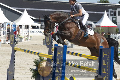 ridehesten csio3 140cm
Showjumping
Nøgleord: rolf-goren bengtsson;crunch 3