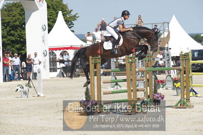 ridehesten csio3 140cm
Showjumping
Nøgleord: rolf-goren bengtsson;crunch 3