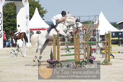 ridehesten csio3 140cm
Showjumping
Nøgleord: hans ley;kong's alli