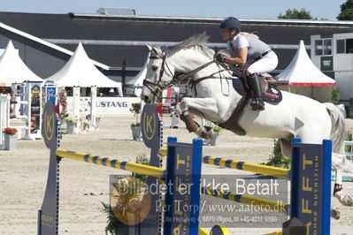 ridehesten csio3 140cm
Showjumping
Nøgleord: sandra enemark;conway