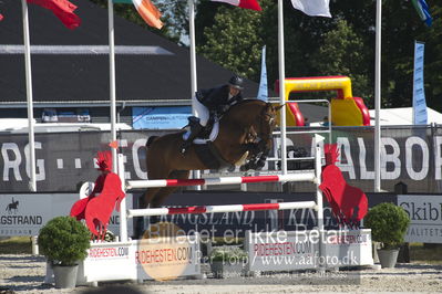 ridehesten csio3 140cm
Showjumping
Nøgleord: eva kramer;gazette ask