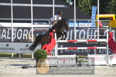 ridehesten csio3 140cm
Showjumping
Nøgleord: magnus jacobson;meluha s