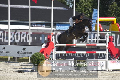 ridehesten csio3 140cm
Showjumping
Nøgleord: virgine thonon;high tech vy de septon