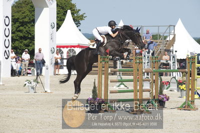 ridehesten csio3 140cm
Showjumping
Nøgleord: jacqueline lai;cash