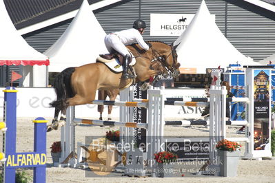 ridehesten csio3 140cm
Showjumping
Nøgleord: kevin olsmeyer;ferdinand